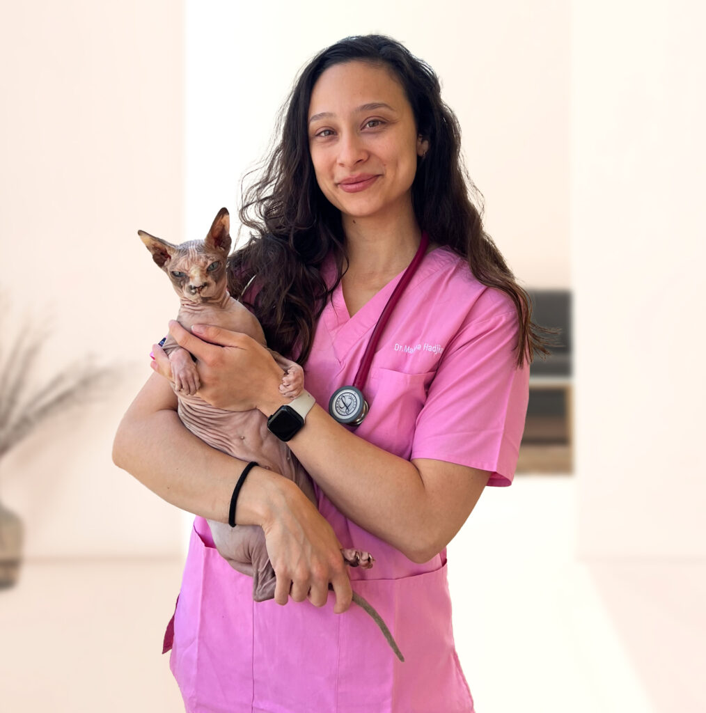 Dr Malvina Hadjiantona - Founder of Call the Vet